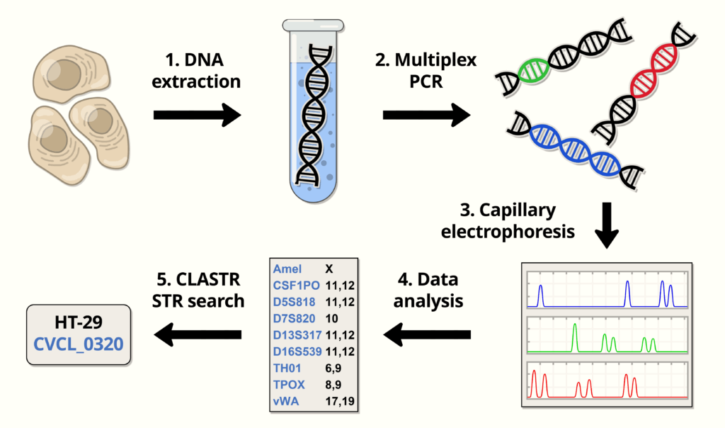 Databases And Datasets – Iclac