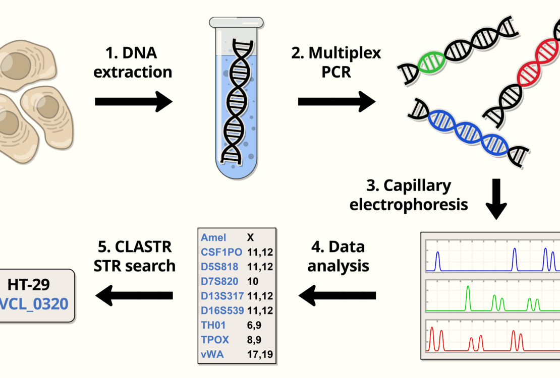 Cell Line Databases – ICLAC