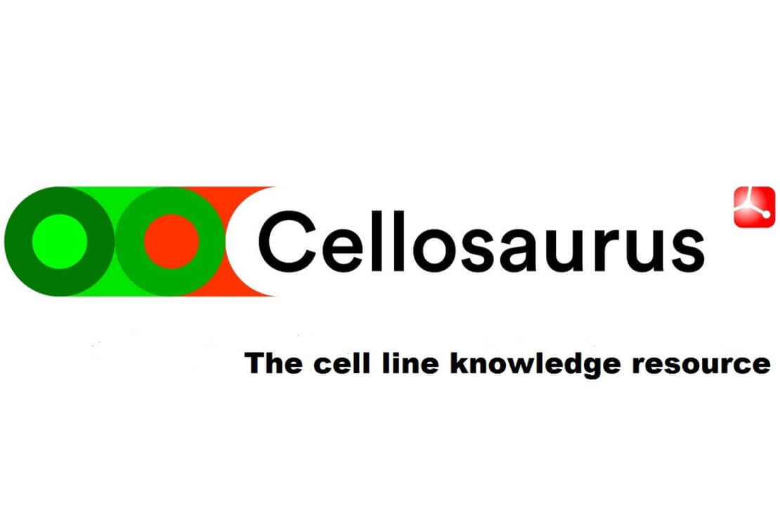 Cell Line Databases – ICLAC